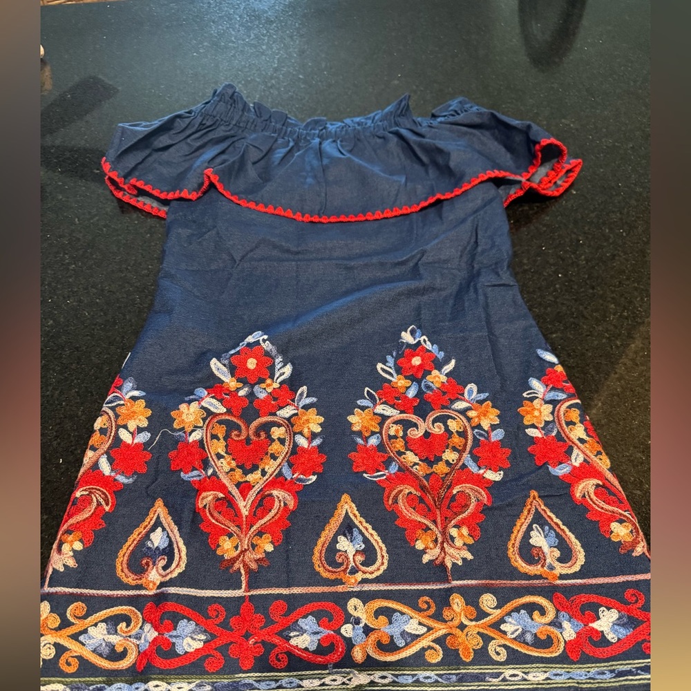 Free the Roses Denim Embroidered Dress